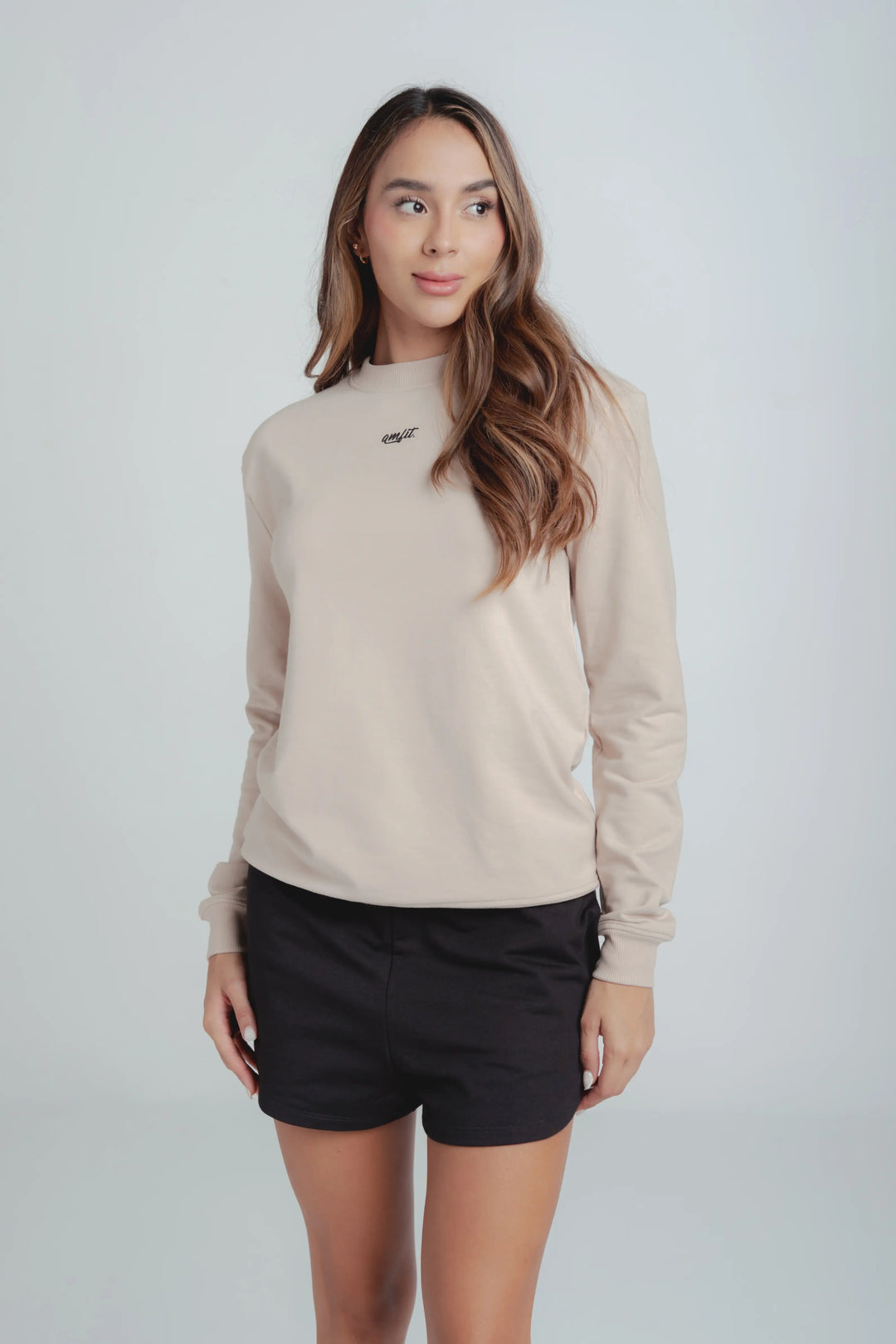 Sweatshirt  camel